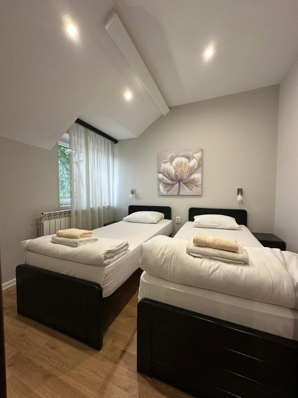 Apartments & Accommodation Stojic Novi Sad Dış mekan fotoğraf